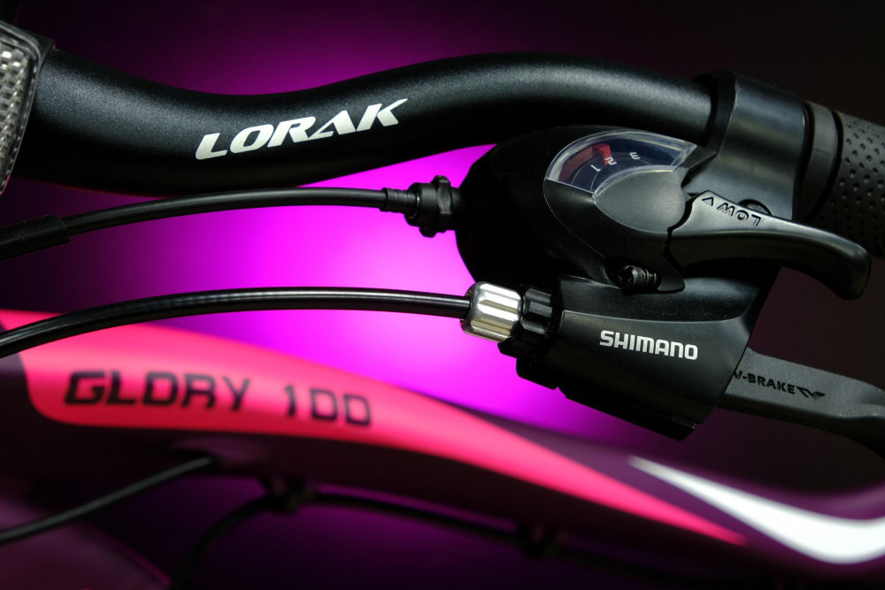 Lorak Glory 100 Матовый Фиолетовый/Розовый рама 15 (на рост 141-160)