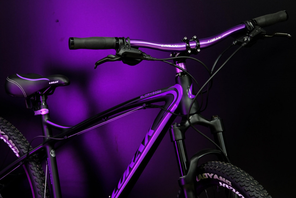 Lorak Glory 2000 Матовый Чёрный/Фиолетовый рама 17 (на рост 155-173)