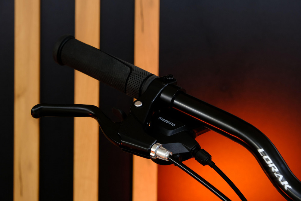 LORAK GLORY 9 Золотисто Серый рама 17 (на рост 155-173)