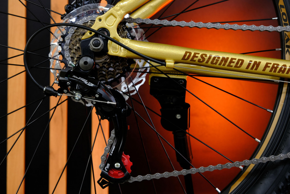 LORAK GLORY 9 Золотисто Серый рама 15 (на рост 141-160)