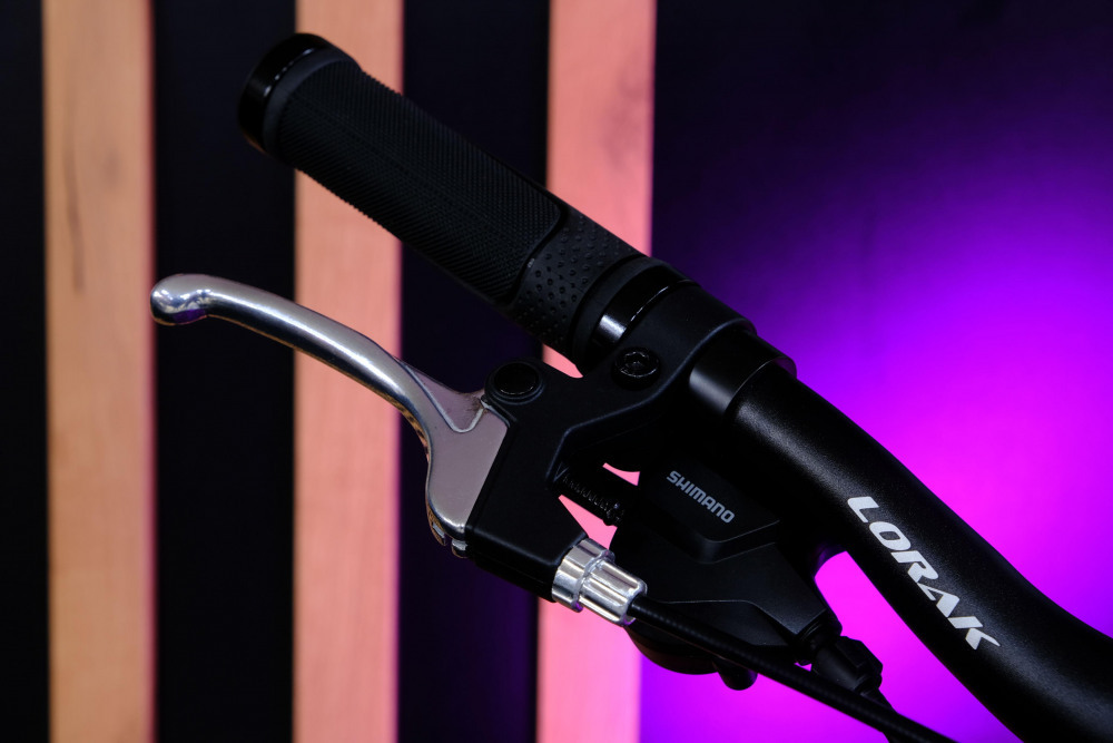 Lorak Magic 24 Серый/Фиолетовый